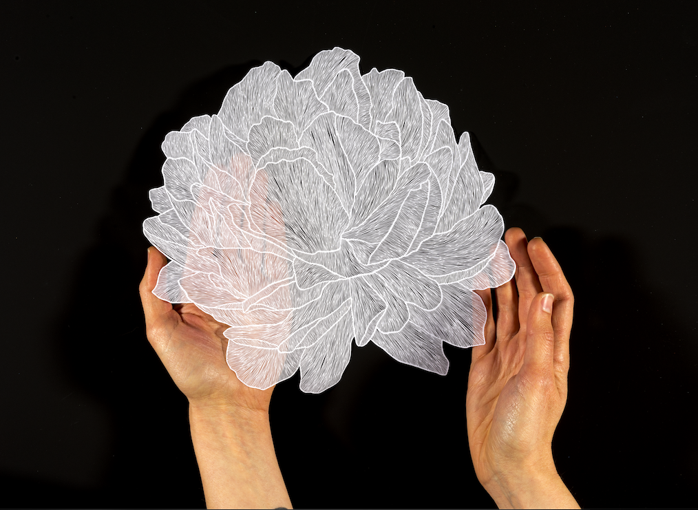 Photograph of artwork by Gary Gold; hand-cut paper Maude White; reproduced from&nbsp;Leading with Love, Parallax Press, 2018.