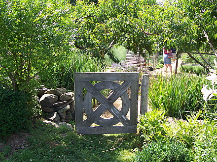 Rural Intelligence Style