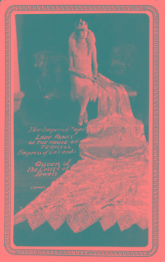 Rural Intelligence Style