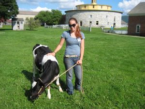 Rural Intelligence Parties and Openings