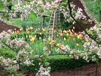 Rural Intelligence Home and Garden