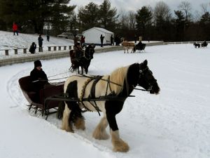 Rural Intelligence Parties and Openings