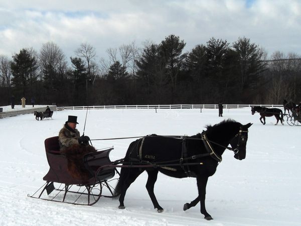 Rural Intelligence Parties and Openings