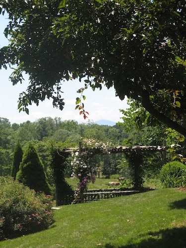 Rural Intelligence Style