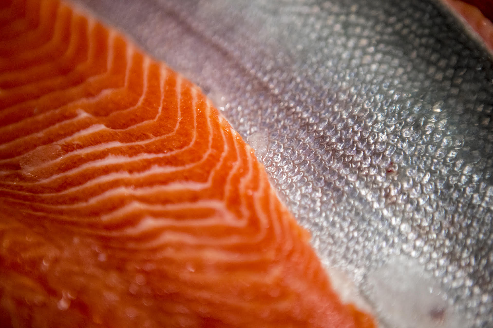 Always sashimi grade Always sashimi grade