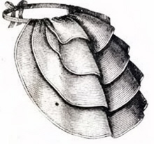 Rural Intelligence Road Trips