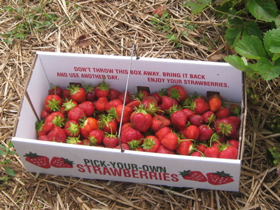 Rural Intelligence Food