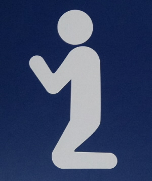 Rural Intelligence Style