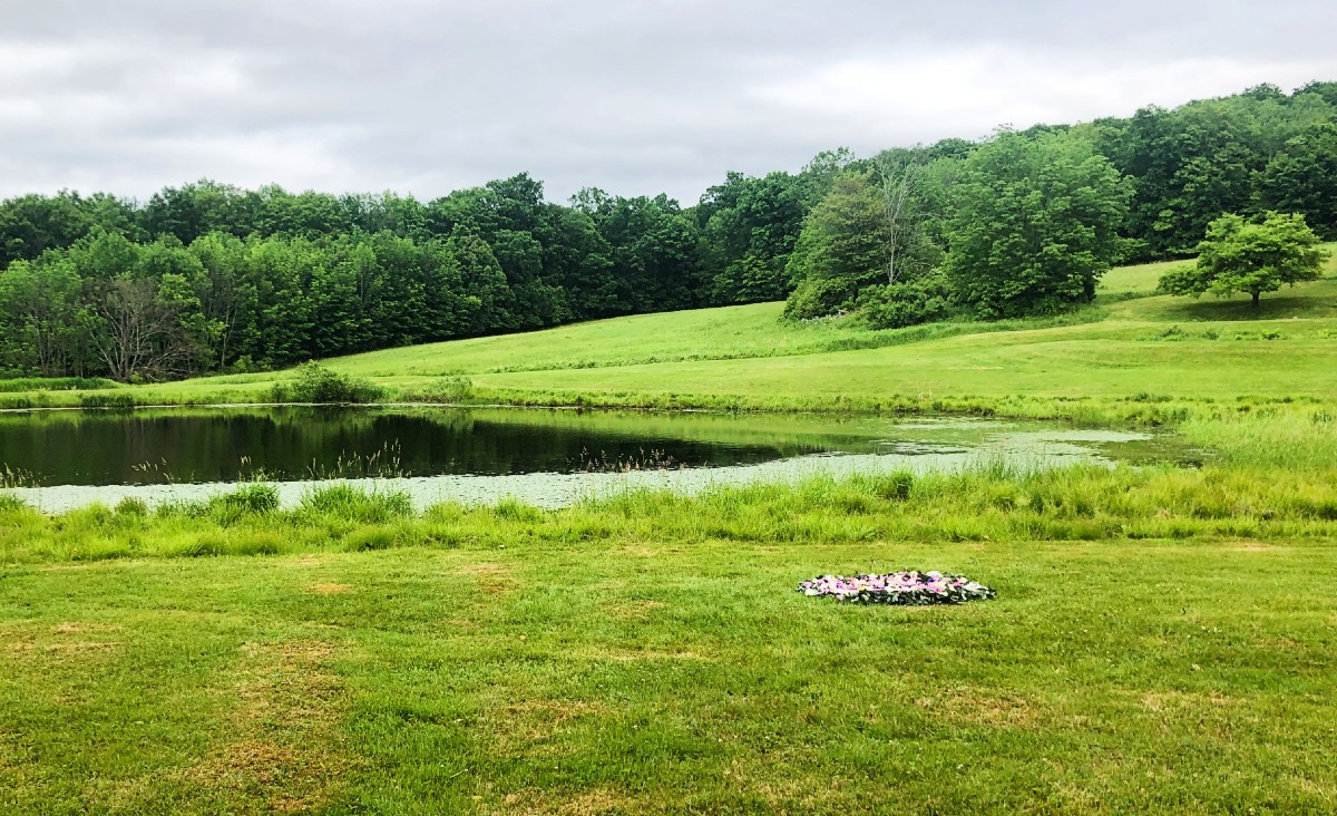 The actual lily pond