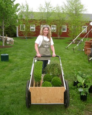 Rural Intelligence Parties and Openings