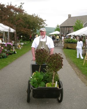 Rural Intelligence Parties and Openings