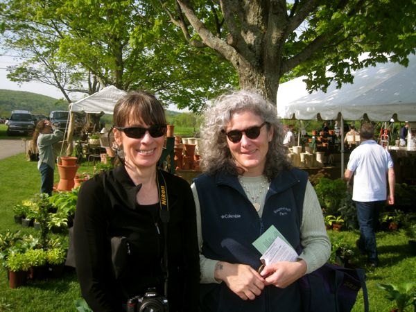 Rural Intelligence Parties and Openings