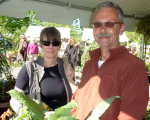 Rural Intelligence Parties and Openings