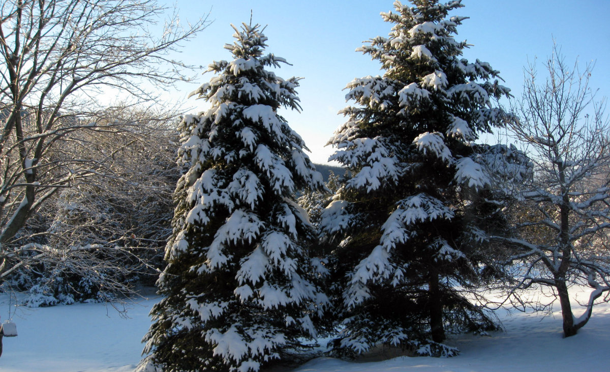 Madaline Sparks Madaline Sparks