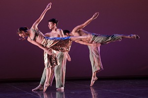 Rural Intelligence Arts