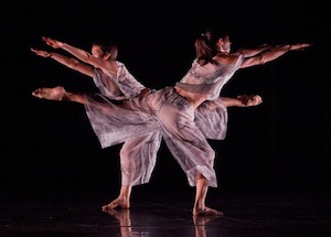 Rural Intelligence Arts