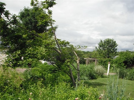 Rural Intelligence Parties and Openings