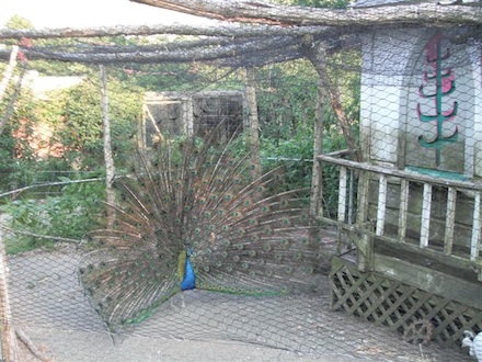 Rural Intelligence Food