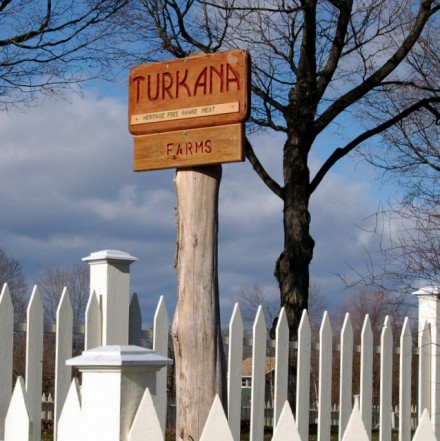 Rural Intelligence Food