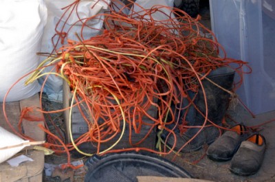 Rural Intelligence Food