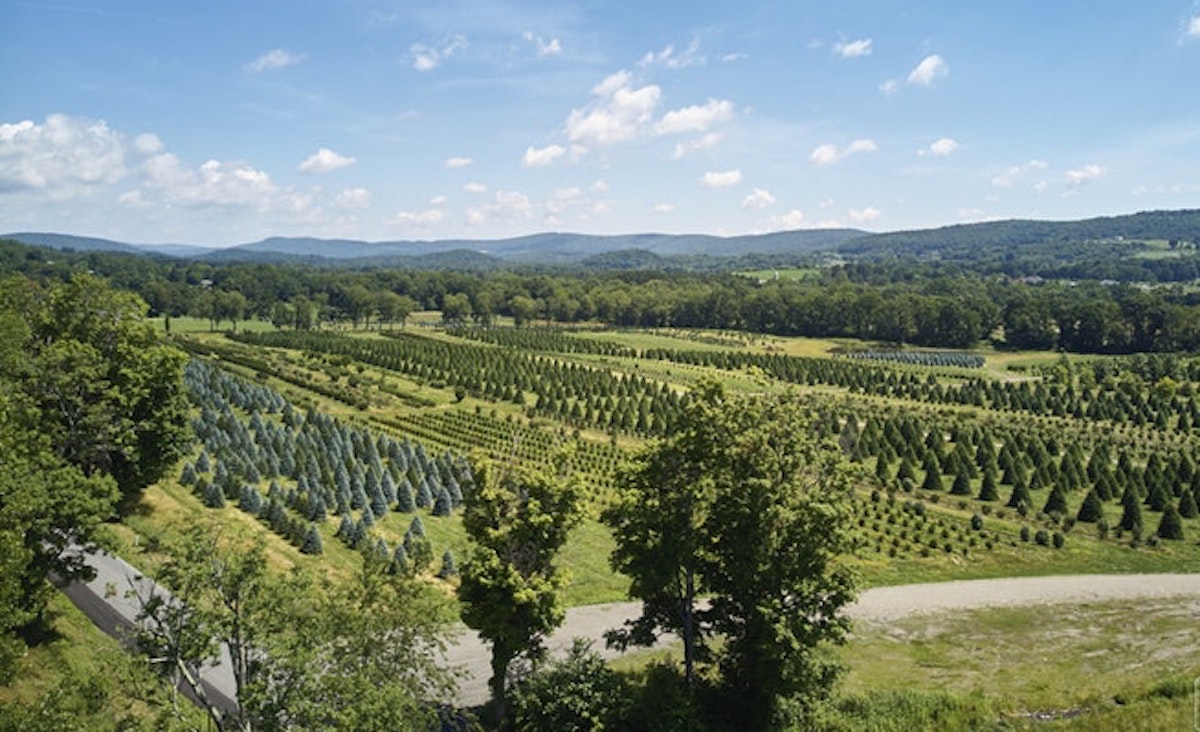 Gently rolling acres