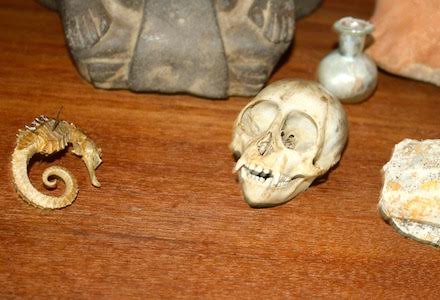 Olana Secret Monkey Scull