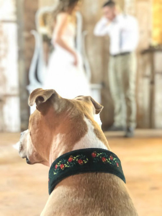 A custom-made, embroidered wedding collar