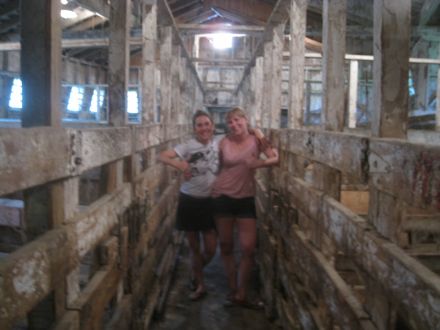 Rural Intelligence Arts