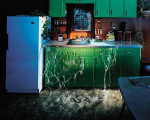 Rural Intelligence Style