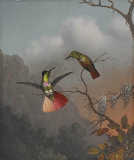 Martin Johnson Heade, "Hooded Visorbearer," ca. 1863&ndash;64
