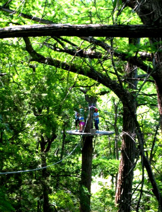 Rural Intelligence Road Trips