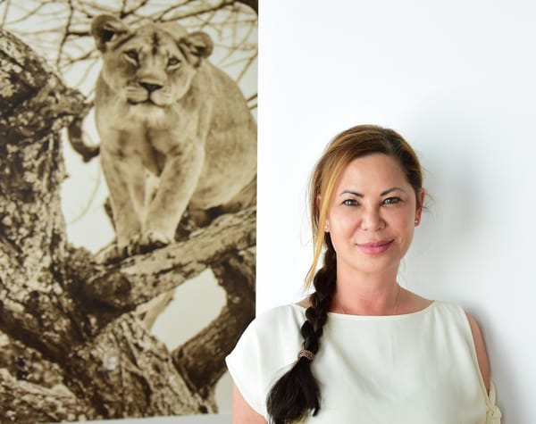 New Williamstown-Based NGO Leads African Wildlife Conservation Efforts