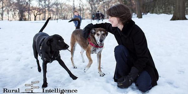 Join Us For Our First Virtual Event: Let's Talk About Our Dogs, Sept. 23 at 4 p.m.