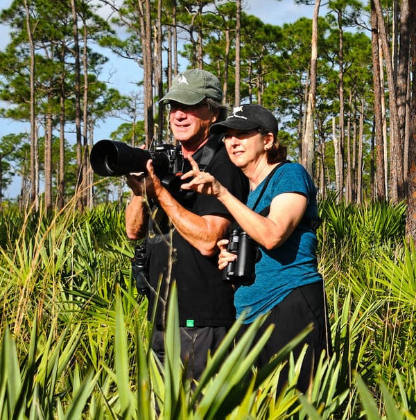 How Do We Save Our Vanishing Birds? Two Journalists Went On An Epic Quest To Learn How