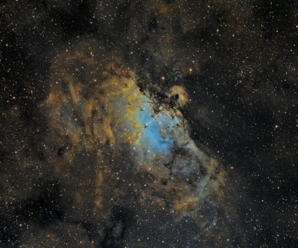 RI Outdoors: Bulbs Below, Bright Night Skies Above