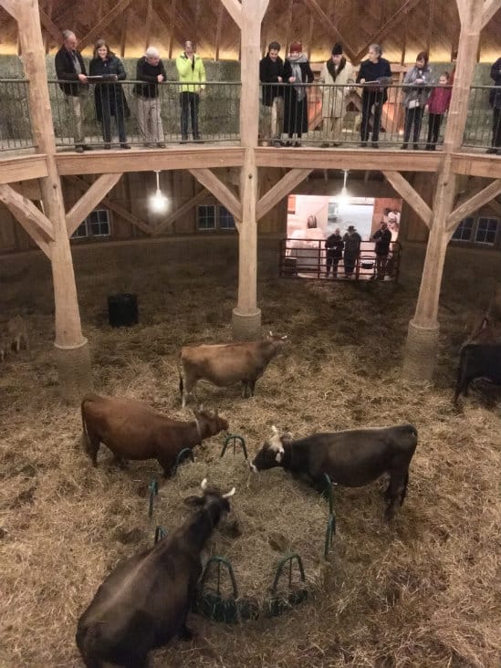 Caroling To The Cows Will Get You In The Holiday Moood