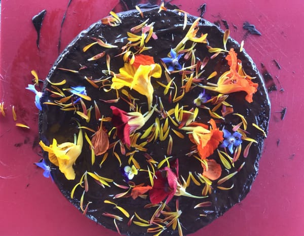 Recipe: Zucchini Cake with Chocolate Icing