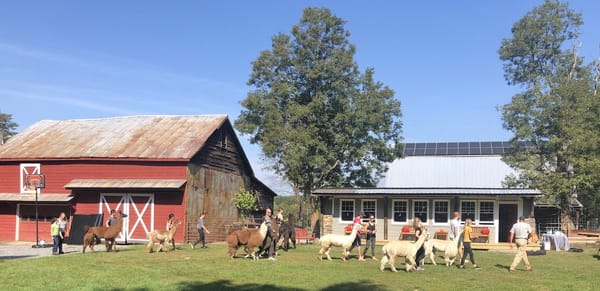 Walk And Roll, Fly And Float