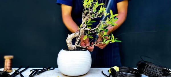 Sing Out and Get Your Hands Dirty at the Hillsdale Workshop Experience