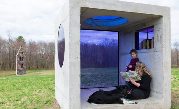 RI Outdoors: Migrating Birds and Static Sculptures