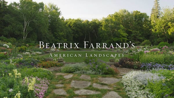 Beatrix Farrand, An American Voice in Landscape Architecture, Finally Gets Her Closeup