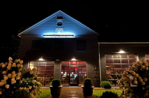 Dining At Fern: Contemporary Italian And A “Stylishly Sexy” Setting In Lakeville