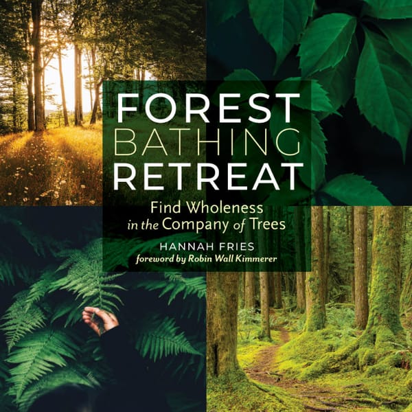 The  Rural Storey: Forest Bathing Retreat