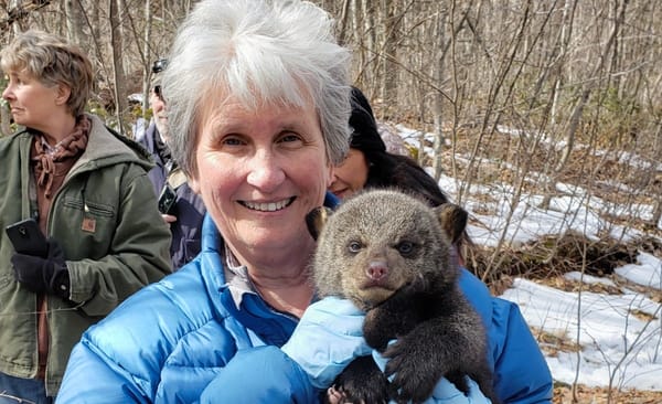 The Rural We: Ginny Apple