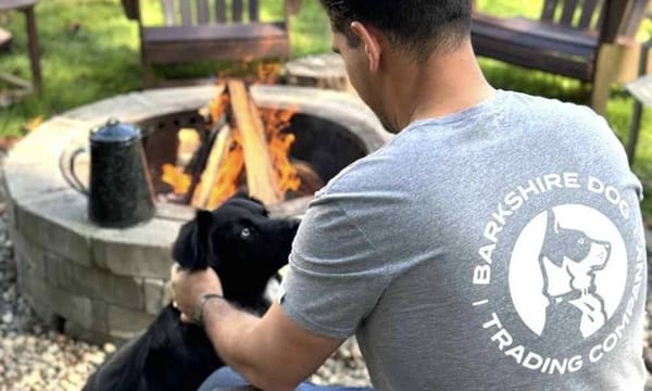 Disney-Style Pet Portraits and Pup-Centric Fashion from Barkshire Dog Trading Co.