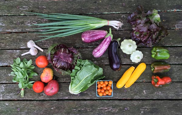 Know Your Farmer: Find Your CSA For 2023