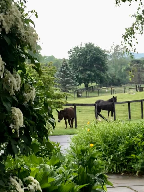 Whistlewood Farm B&B