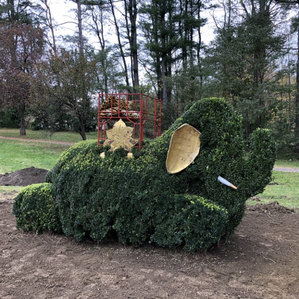 Berkshire Botanical Garden Grows with Gift of Topiary Collection