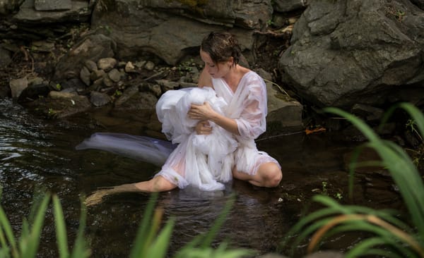 The Five Senses Festival Year 3: A Safe Safari, And Other Fanciful Acts