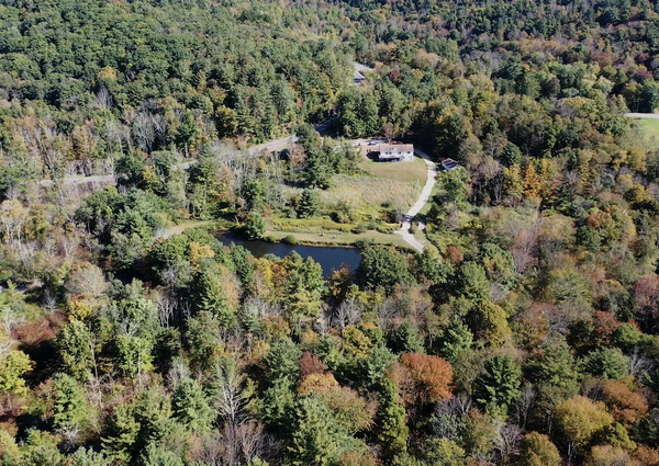 300 Acres in the Hillsdale Mountains and a Modest Homestead